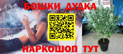 тгк Аргун