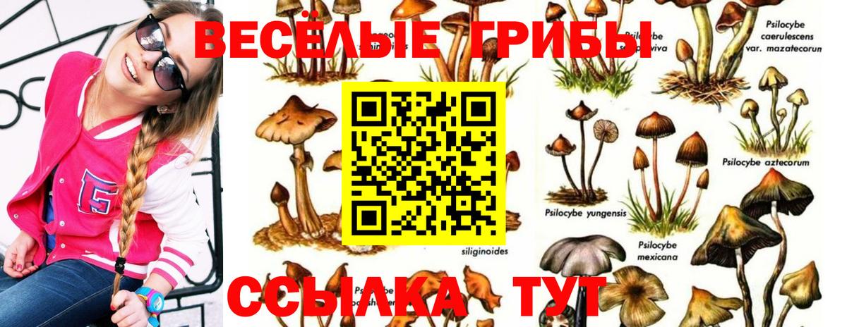 Галлюциногенные грибы мухоморы  Галлюциногенные грибы Cubensis  Вход с VPN  Братск 